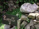 Image 01